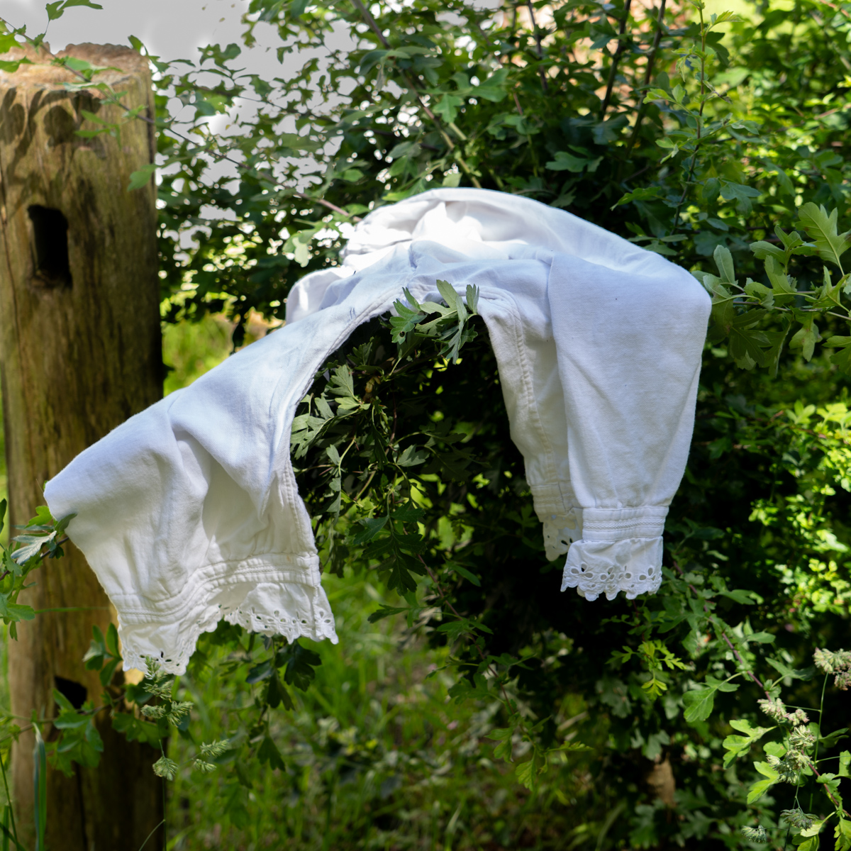 Photography by Chris Allington
